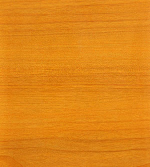 金絲楠木（亮光）